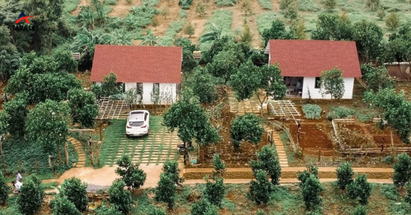 Tách Thửa Đất Nông Nghiệp: Quy Định Diện Tích Tối Thiểu