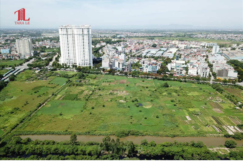 Mua Đất Quy Hoạch: Có Được Đền Bù Khi Nhà Nước Thu Hồi?