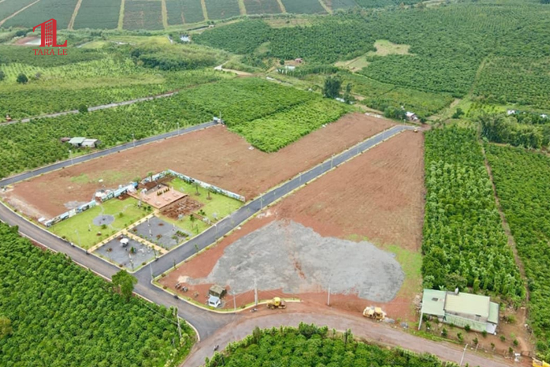  Đất 50 Năm: Hết Hạn Sử Dụng, Liệu Có Bị Thu Hồi?