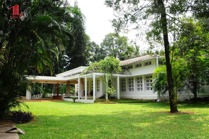Xây Homestay Trên Đất Nông Nghiệp: Được Không? Cần Gì?