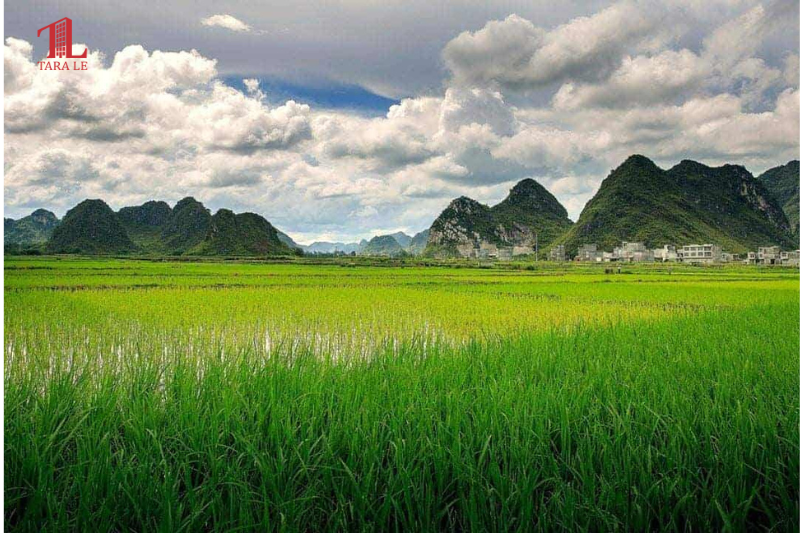 Đất 50 Năm Sắp Hết Hạn? Đây Là Điều Bạn Cần Biết!