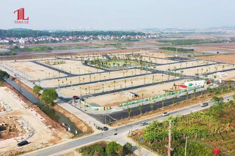 Đất nền phía Nam sắp tăng giá? Đây là thời điểm quyết định!
