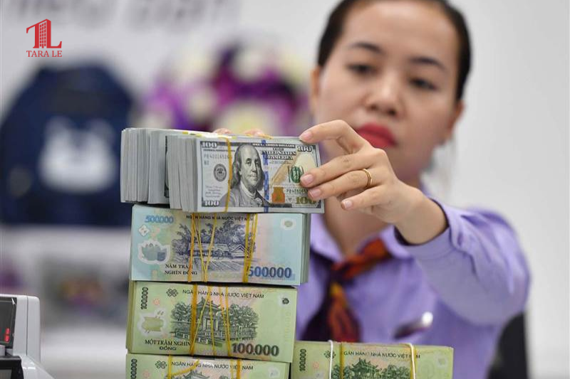  Tỷ giá USD/VND có thể tăng 5% : Lý do khiến VND chịu áp lực