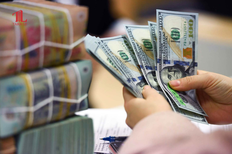 Tỷ giá USD/VND có thể tăng 5% : Lý do khiến VND chịu áp lực