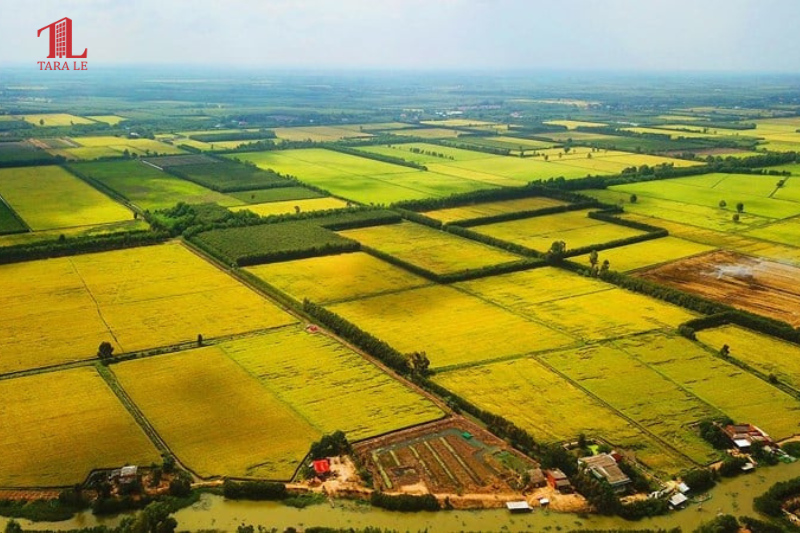  Tăng giá đất nông nghiệp lên 70% giá đất ở: nhiều băn khoăn