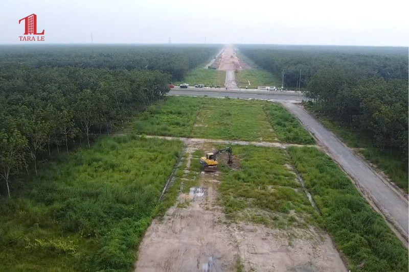  Cao tốc & Vành đai 4 : “Trục xương sống” kết nối Đông – Tây 