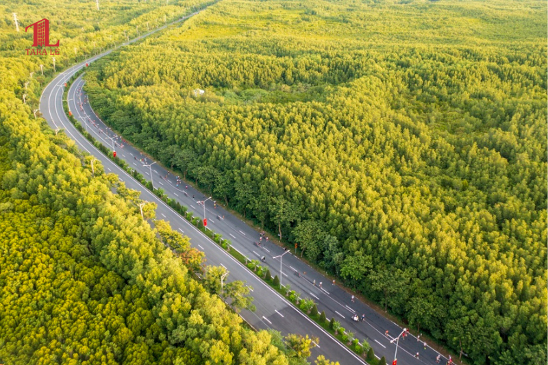 VinSpeed với đường sắt 350 km/h: TP.HCM – Cần Giờ chỉ 15 phút