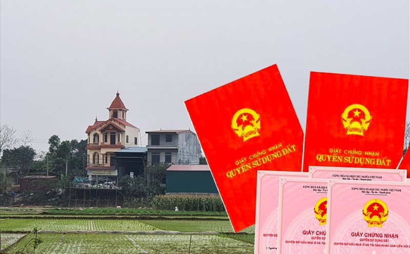Người sử dụng đất ổn định được cấp sổ đỏ miễn phí ?