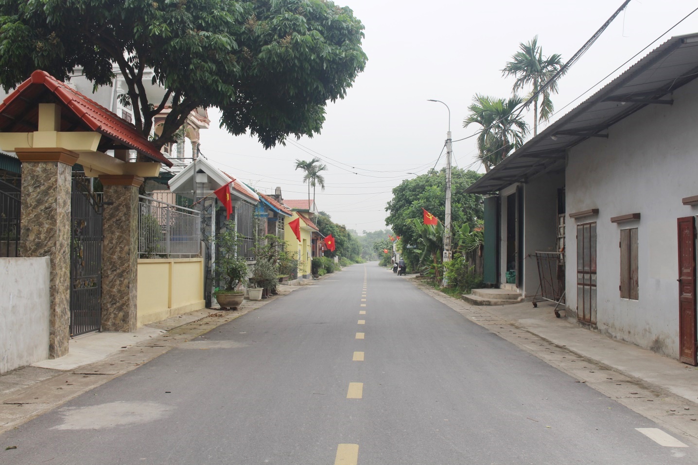 Người sử dụng đất ổn định được cấp sổ đỏ miễn phí ?