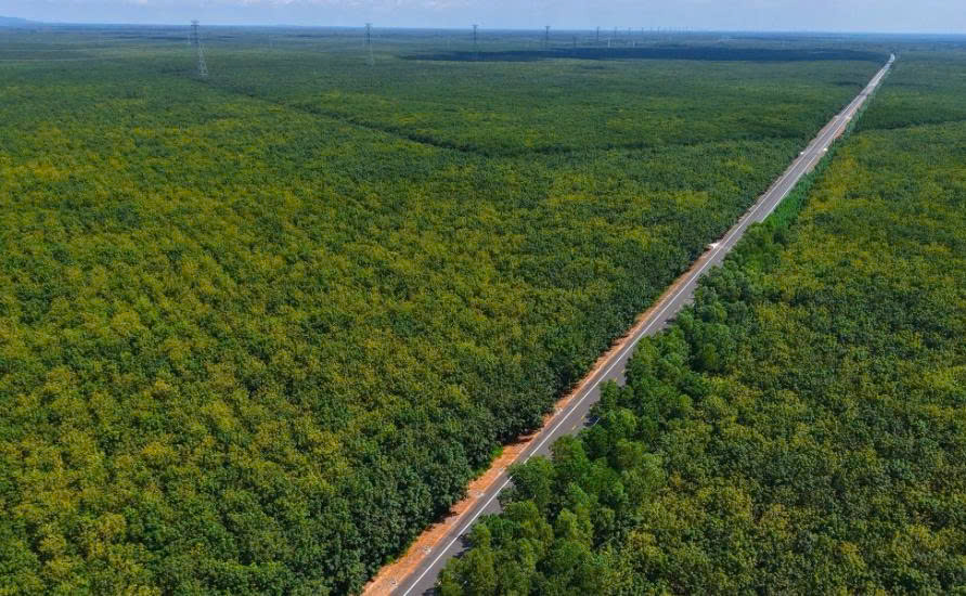 Tuyến đường xuyên rừng cao su dài hơn 72km sắp hoàn thiện