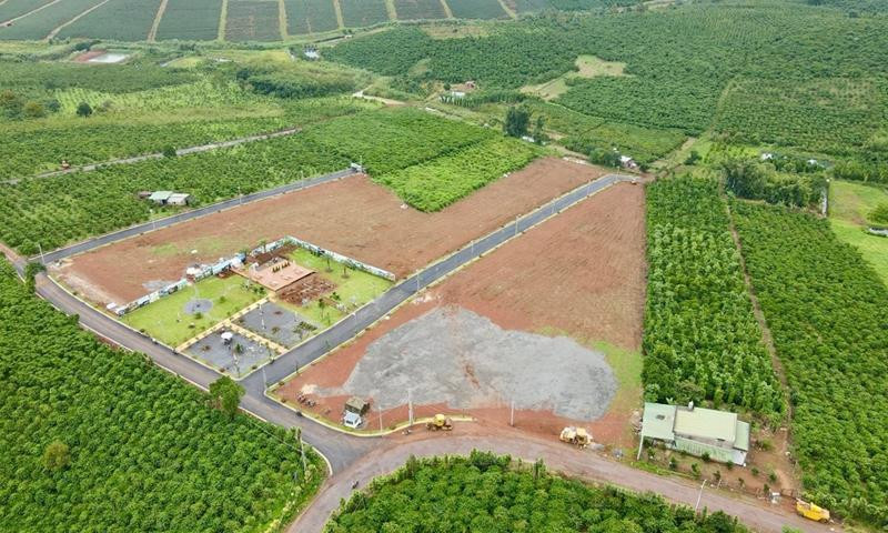  Đất 50 năm được cấp sổ đỏ không? Quy định mới chủ đất cần biết