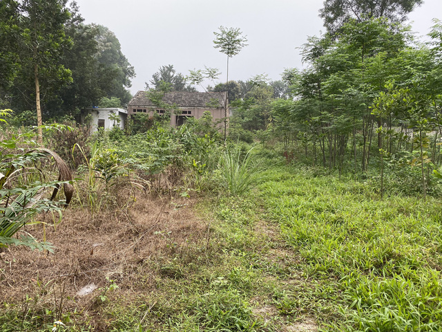 Gắn mã định danh BĐS: Thổi giá đất “khỉ ho cò gáy” sẽ hết thời