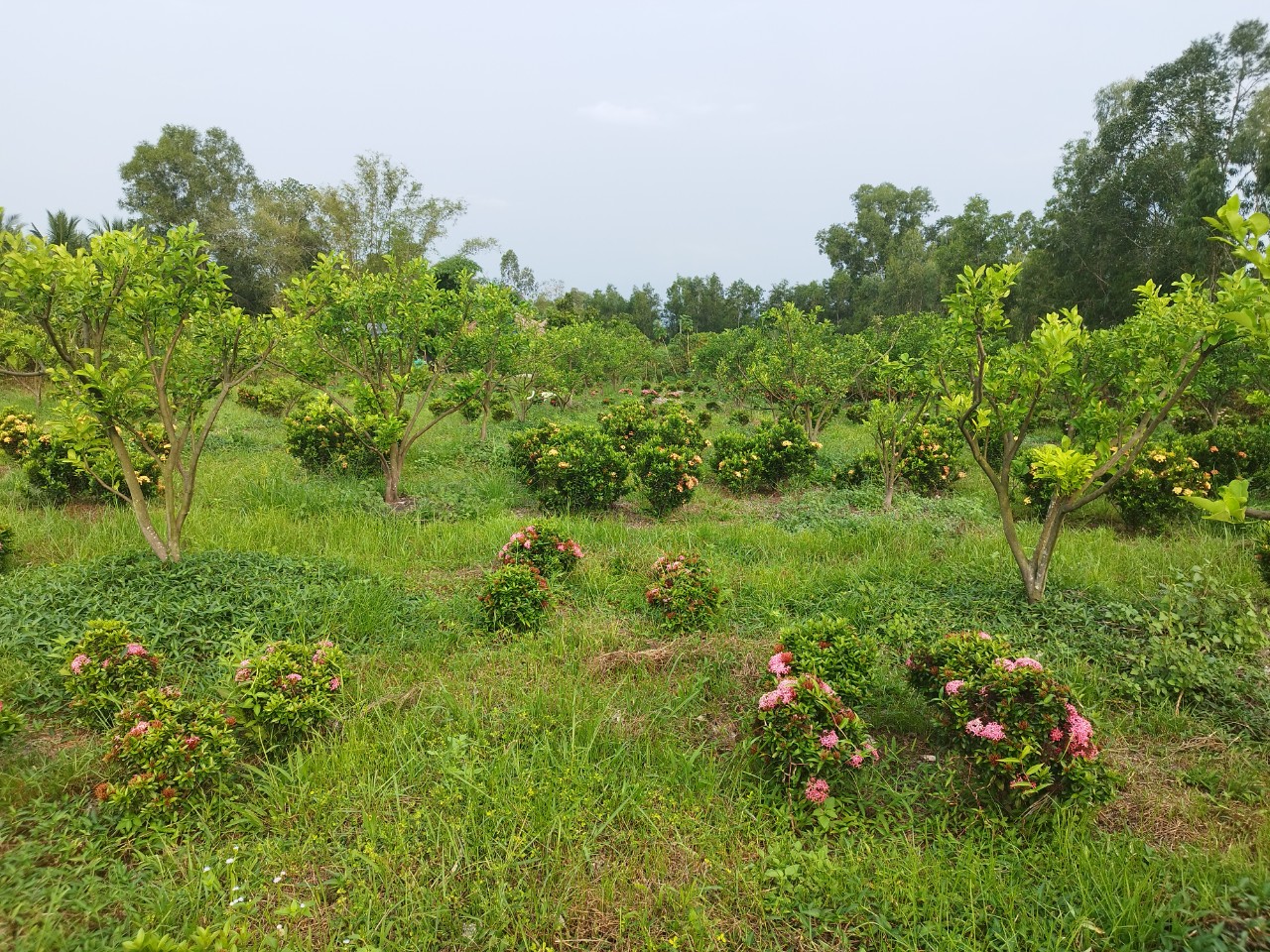 Giảm gánh nặng tài chính: Chuyển đổi đất từ 2026 rẻ hơn 70%