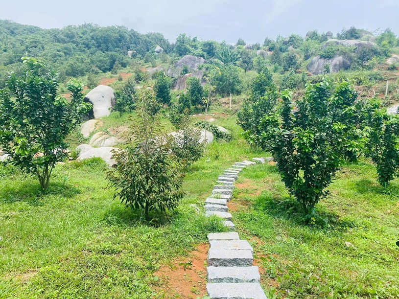 Đất vườn trong khu dân cư có phải nộp 100% tiền sử dụng đất ?